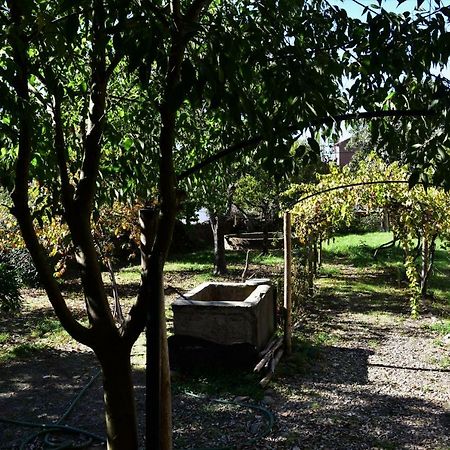Villa Casa Dona Amélia Idanha-a-Nova Esterno foto