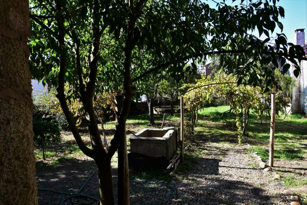 Villa Casa Dona Amélia Idanha-a-Nova Esterno foto